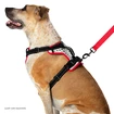 Pripomoček za canicross Nathan  K9 Dog Harness