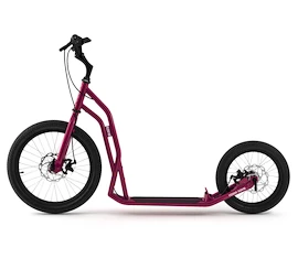 Skiro Yedoo Steel S2016 Disc Burgundy