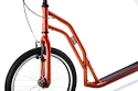 Skiro Yedoo Steel S2016 Orange