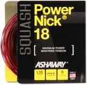 Struna za squash Ashaway  PowerNick 18 Zyex Red 1,15 mm