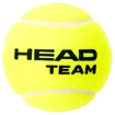 Teniške žogice Head  Team (4 Pack)