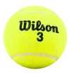 Teniške žogice Wilson  Championship (4 Pack)