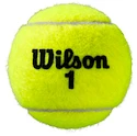 Teniške žogice Wilson  Roland Garros All Court (4 Pack)