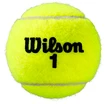 Teniške žogice Wilson  Roland Garros Clay (3 Pack)