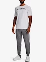 Trenirke Under Armour Rival Fleece Joggers-GRY