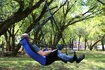 Viseča mreža Eno  Lounger Hanging Chair Purple/Teal