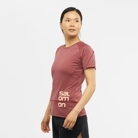 Ženska majica Salomon Cross Run Graphic Tee Cabernet