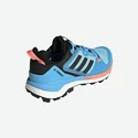 Ženska obutev adidas Skychaser 2 GTX W Blue