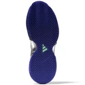 Ženska obutev za tenis adidas  Barricade W Clay Blue/Violet