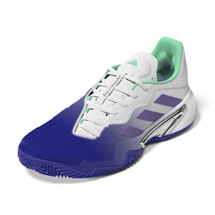 Ženska obutev za tenis adidas  Barricade W Clay Blue/Violet