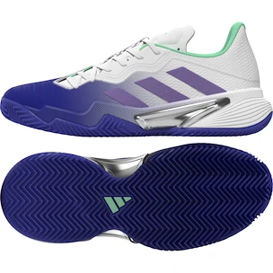 Ženska obutev za tenis adidas  Barricade W Clay Blue/Violet