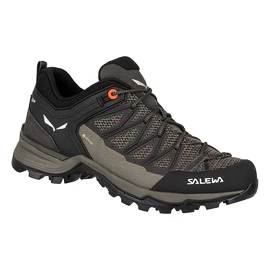 Ženska obutev za uporabo na prostem Salewa WS MTN Trainer Lite GTX