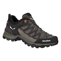 Ženska obutev za uporabo na prostem Salewa WS MTN Trainer Lite GTX  UK 6