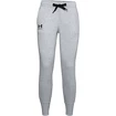 Ženska trenirka Under Armour Rival Fleece Joggers Grey