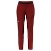 Ženske hlače Salewa Pedroc 2 DST M Light Pants   36