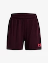 Ženske kratke hlače Under Armour  W's Ch. Knit Short-MRN