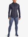 Ženske pajkice Under Armour Meridian CW Legging-PPL