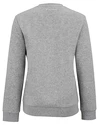 Ženski pulover Tecnifibre  Club Sweater Silver